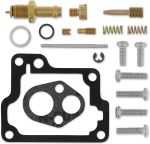  10030727 Carburettor repair kit
