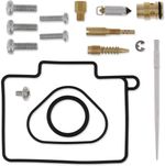  10030730 Carburettor repair kit