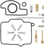  10030737 Carburettor repair kit