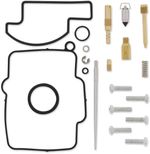  10030741 Carburettor repair kit