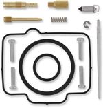  10030769 Carburettor repair kit