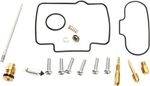  10030783 Carburettor repair kit