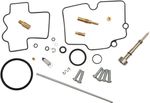  10030807 Carburettor repair kit