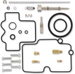 10030825 Carburettor repair kit
