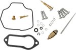  10030837 Carburettor repair kit
