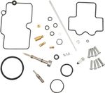  10030842 Carburettor repair kit
