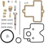  10030867 Carburettor repair kit