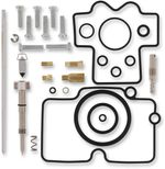  10030870 Carburettor repair kit