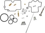  10030875 Carburettor repair kit