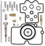  10030881 Carburettor repair kit