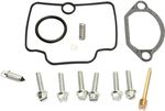  10030906 Carburettor repair kit