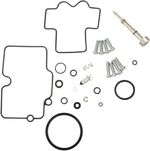  10030908 Carburettor repair kit