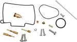  10030916 Carburettor repair kit