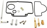  10030919 Carburettor repair kit