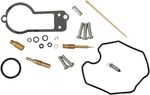  10030929 Carburettor repair kit