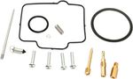  10030939 Carburettor repair kit