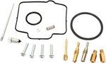  10030941 Carburettor repair kit