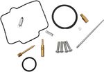  10031256 Carburettor repair kit