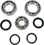  12050152 Differential bearings and seals kit