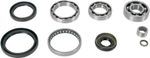 12050187 Differential bearings and seals kit