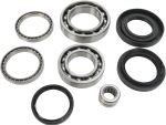  12050199 Differential bearings and seals kit