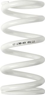 Ressort d'amortisseur 13120945