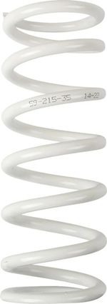 Ressort d'amortisseur 13120956