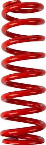  13120964 Dämpferfeder