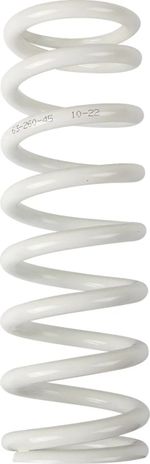 Ressort d'amortisseur 13120979