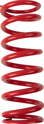 Ressort d'amortisseur 13120990