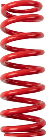 Ressort d'amortisseur 13121001