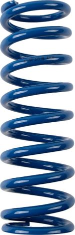  13121006 Dämpferfeder