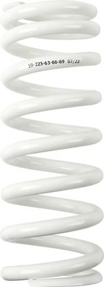  13121015 Dämpferfeder