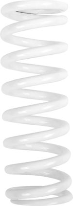  13121169 Dämpferfeder