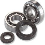  A241004 Crankshaft bearing and seal kit
