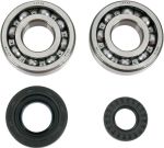  A241029 Crankshaft bearing and seal kit