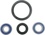  A251048 Wheel bearing kit + oil seals