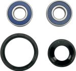  A251069 Wheel bearing kit + oil seals