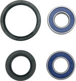  A251076 Wheel bearing kit + oil seals