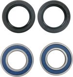  A251079 Wheel bearing kit + oil seals