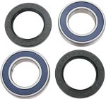  A251122 Wheel bearing kit + oil seals