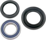  A251123 Wheel bearing kit + oil seals