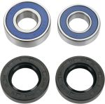  A251168 Wheel bearing kit + oil seals