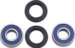  A251188 Wheel bearing kit + oil seals
