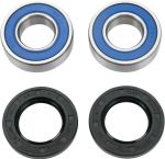 A251223 Wheel bearing kit + oil seals