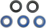  A251233 Wheel bearing kit + oil seals