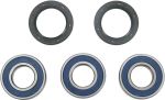 A251243 Wheel bearing kit + oil seals