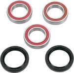 A251250 Wheel bearing kit + oil seals