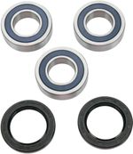  A251255 Wheel bearing kit + oil seals