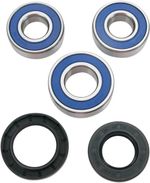  A251256 Wheel bearing kit + oil seals